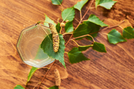 Glasses of birch sap juice birch branches on wooden table background. Healthy and vitamin food spring useful vitamin nutrition fresh drink.の写真素材
