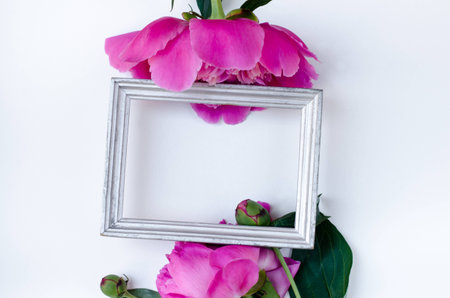 Pink peony flower in frame Flat lay Nature concept on white background with copy space for greeting message creative layout. Mother's Day and spring background concept.の写真素材