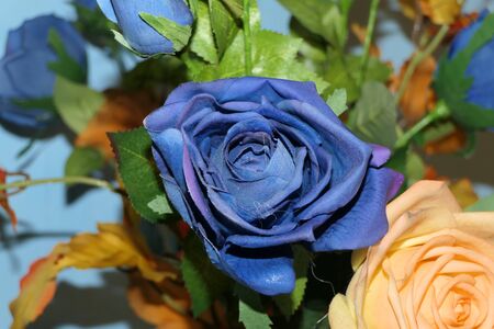 Gorgeous blue and peach artificial roses in a decorative bouquet.の写真素材