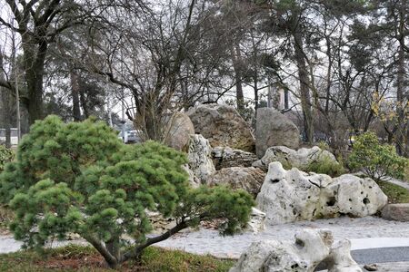 Gorgeous view of the "Rock Garden" - in the park.の写真素材