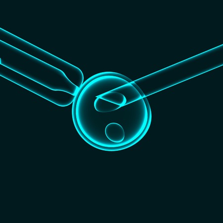 In vitriol fertilization: sperm fertilizing egg cell.のイラスト素材