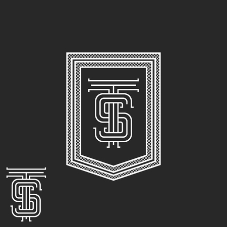 Hipster TS initials monogram frame, black and white vintage boutique emblem mockup, stylish calligraphic graphic design elementのイラスト素材