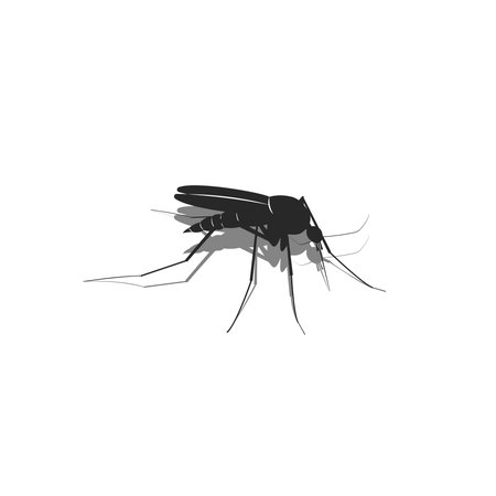 Mosquito silhouette 3d in isometric black and white minimalistic illustration of a blood sucking insect isolated on whiteのイラスト素材