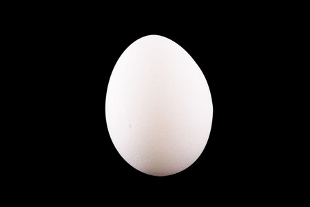 whole egg under the black background