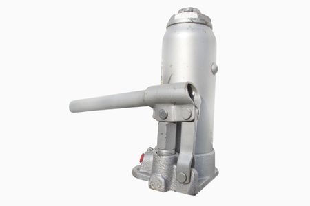 Jack under the white backgroundの写真素材