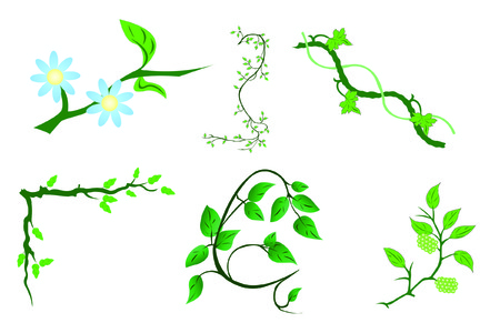 Vector elements of floral patterns with the image of tree branchsのイラスト素材
