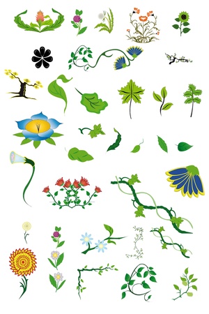 vector elements of floral patterns under the white backgroundのイラスト素材