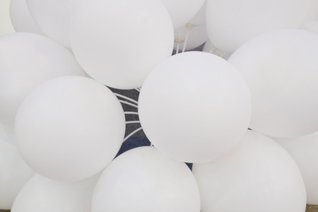 the image of a Horseの写真素材