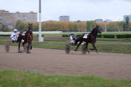 image of a carriage, horse and rider on a horse race at the trackの写真素材