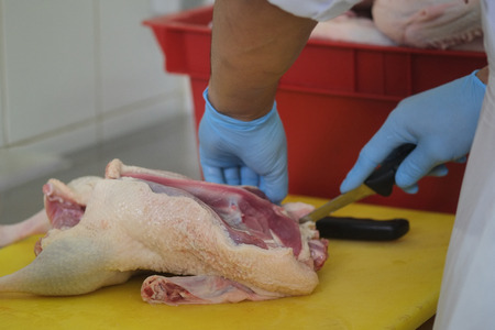 Image of chickens processed at the factoryの写真素材