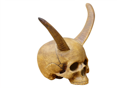Human skull with bull horns on a white backgroundの写真素材