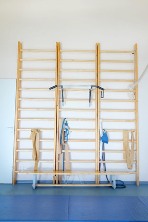 Wall bars in the gymnastic hall