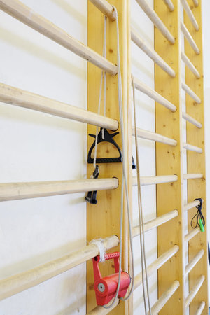 Wall bars in the gymnastic hall