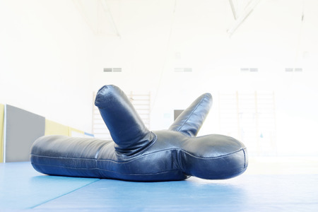 Punching bag - mannequin one-legged wrestlingの写真素材