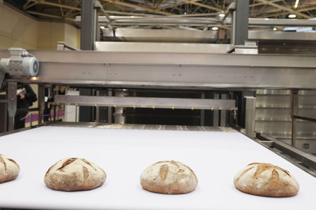 Baked breads on production line at bakery