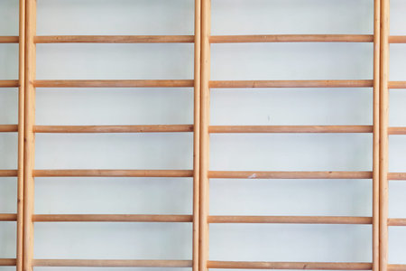 Wall bars in the gymnastic hall