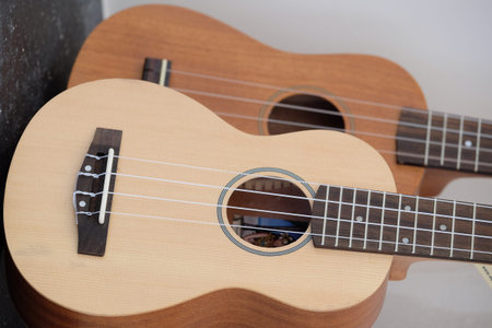 The image of a guitar