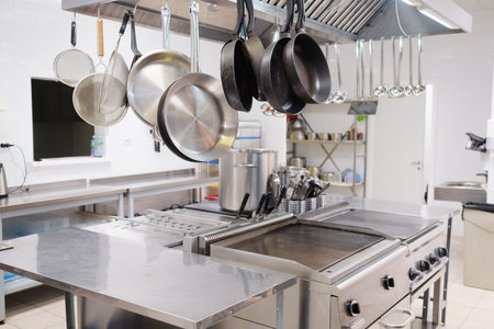 Professional kitchen in a restaurant