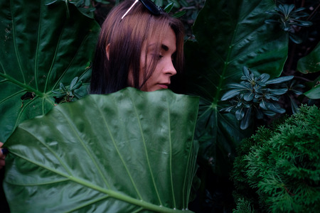 Portrait of a young girl stays behind a big leafの写真素材