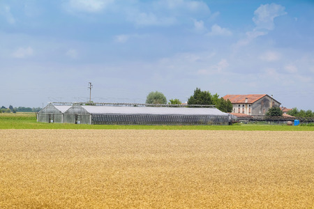 Landscape with the image of an Italian countrysideのeditorial素材