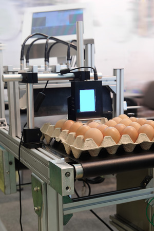 Industrial eggs packaging lineの写真素材