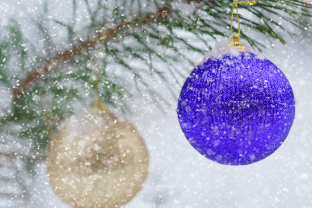 Two ribbons on the christmas tree の写真素材