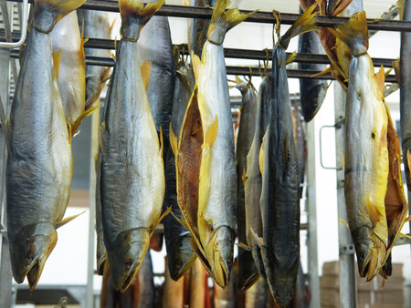 Smoked fish in a smokery