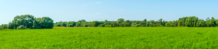 Panorama of meadowの写真素材