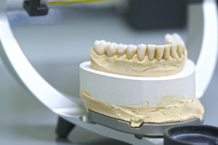 Denture close upの写真素材
