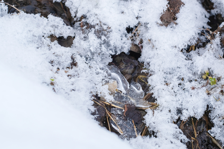 Background with the image of snowの写真素材