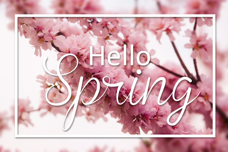 Collage for women's dayの写真素材