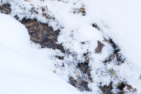 Background with the image of snowの写真素材