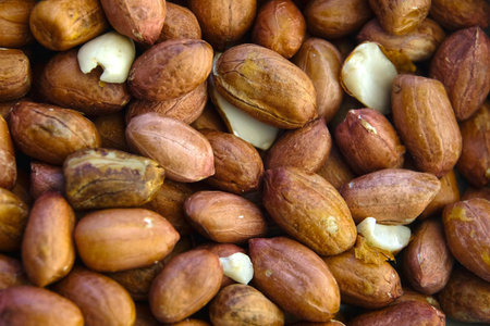 Background with the image of nuts