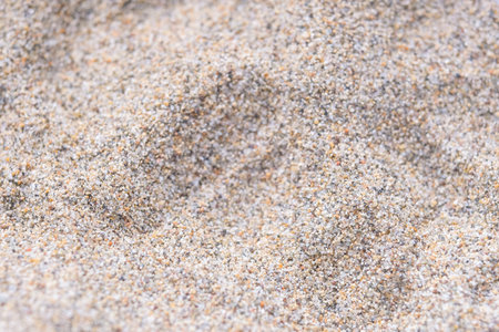 background with the image of a shell 
