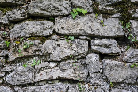 Background with the image of stoneの写真素材
