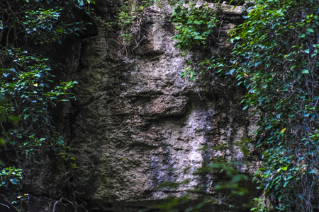 Background with the image of stoneの写真素材