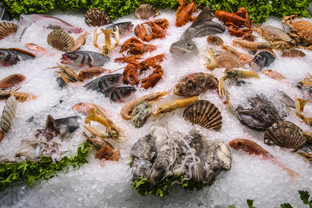 fish on a show window in a shopの写真素材