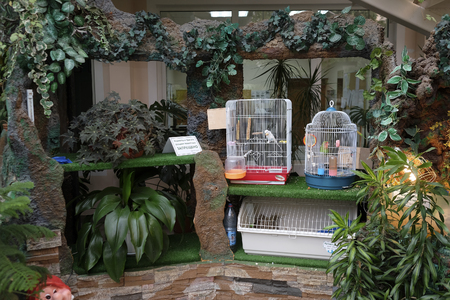 Moscow, Russia - September, 24, 2018: View of an interior garden in Moscow priver schoolのeditorial素材
