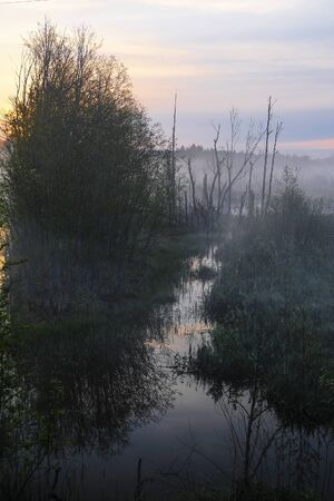 Landscape with the image of fog on lake Seliger in Russiaの写真素材