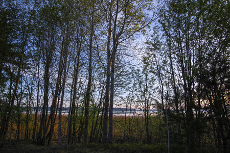 Landscape with the image of lake Seliger in Russiaの写真素材