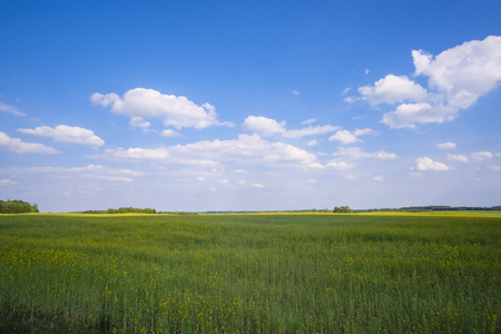 Landscape with the image of a fieldのeditorial素材