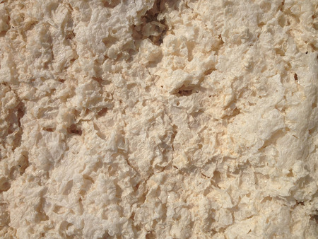 Dry Flour Bubble Of Starch Wastewaterの写真素材