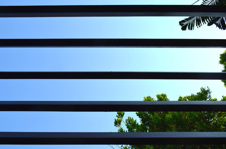 Abstract bottom view of wooden lath against blue sky and treeの写真素材