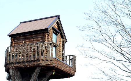 Wooden tree house against blue skyの写真素材