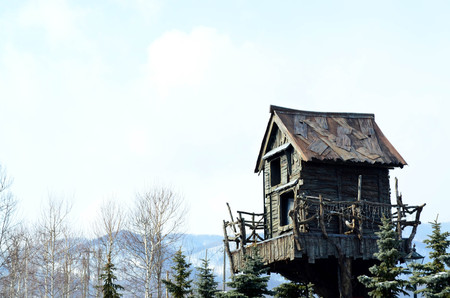 Wooden tree house against blue sky with pine tree and mountain backgroundの写真素材