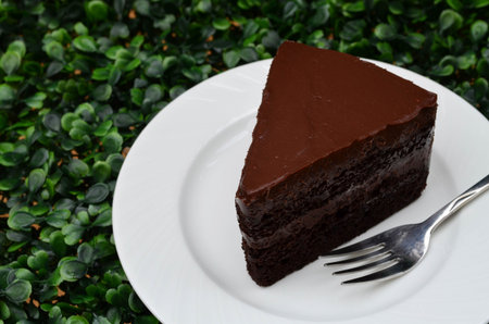 Delicious, soft sliced fresh homemade dark chocolate cake on white dishの写真素材