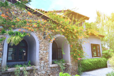 Granite stone wall building with arch and orange flower tree