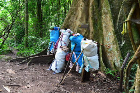Baggage of hiking tourist in backpack of porter sherpaの写真素材