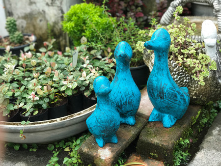 Group of blue duck figure decorated in the gardenの写真素材