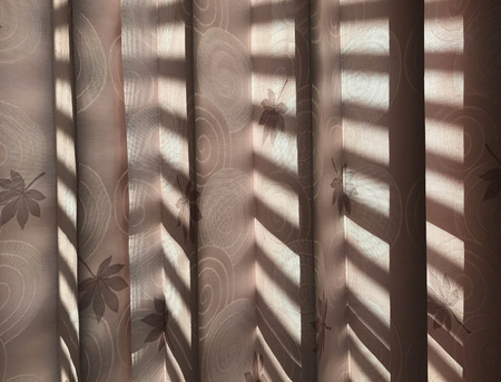 Brown curtain with maple leaf and swirl graphic and with shadow of the window shine through the fabricの写真素材